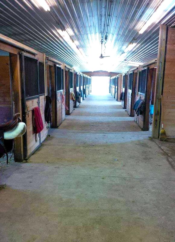 Shedrow of indoor and outdoor boarding facility in Cookstown 