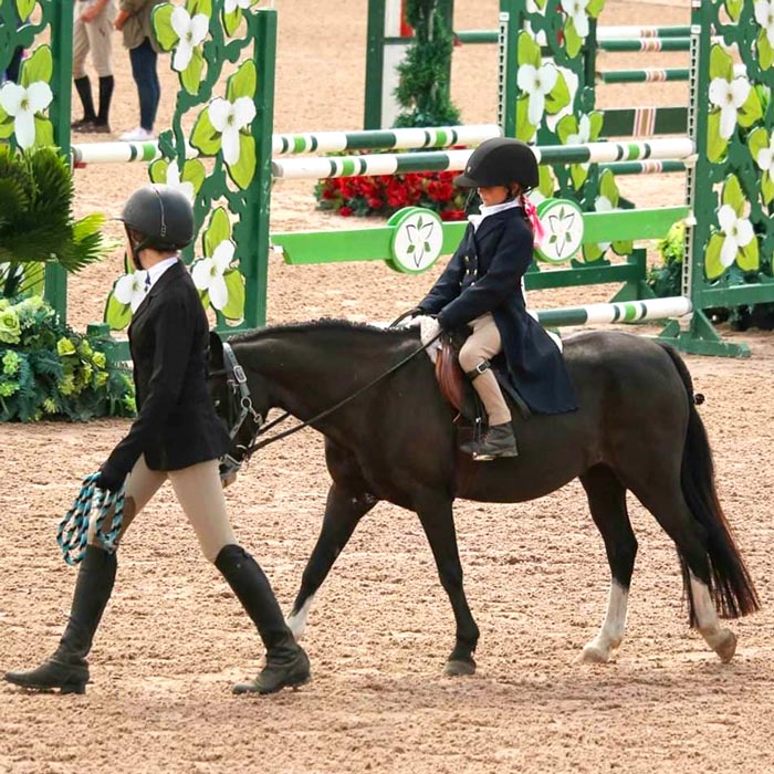 Young rider competing at the Trillium's Hunter Jumper show. Photo taken by Katrina Miller.