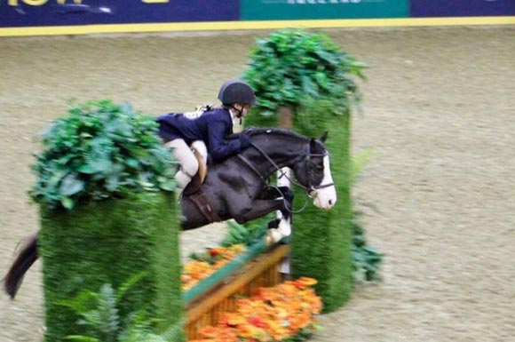 Hunter Jumper competitor at the Royal