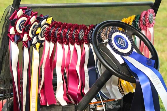 Kaiser Stud show team ribbons