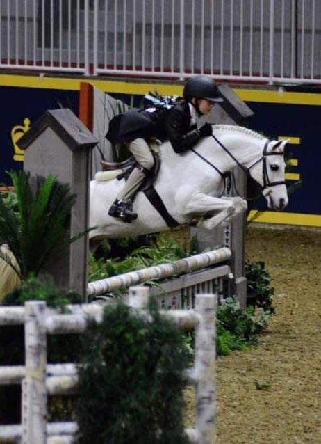 Kailey Kaiser and Northwind Snow Angel competing in a Hunter Jumper class at the Royal