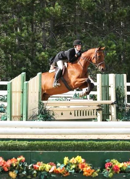 Adult hunter jumper show team member