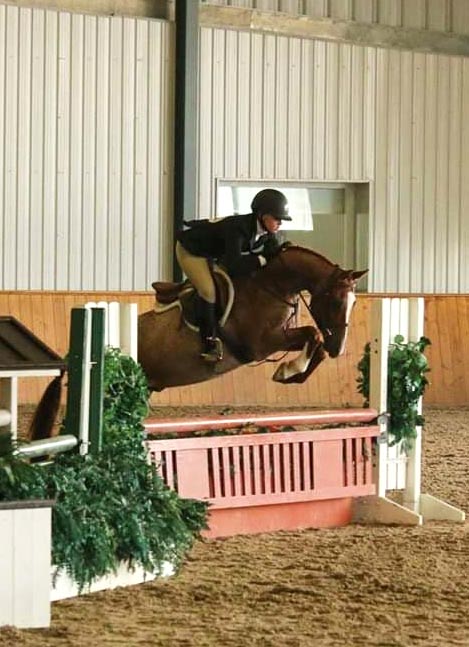 Hunter jumper course